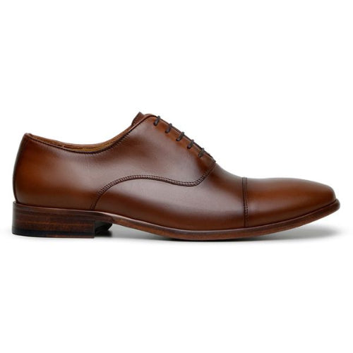 Sapato Social Masculino Oxford - Marrom